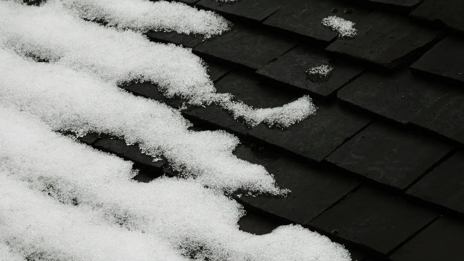 Roof Leak Repair in Spring